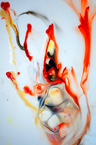 der Orang-Utan by Martin Luisi, Photography for Sale on Singulart