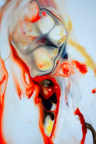 der Phönix-Moment van Martin Luisi, Fotografie te koop op Singulart