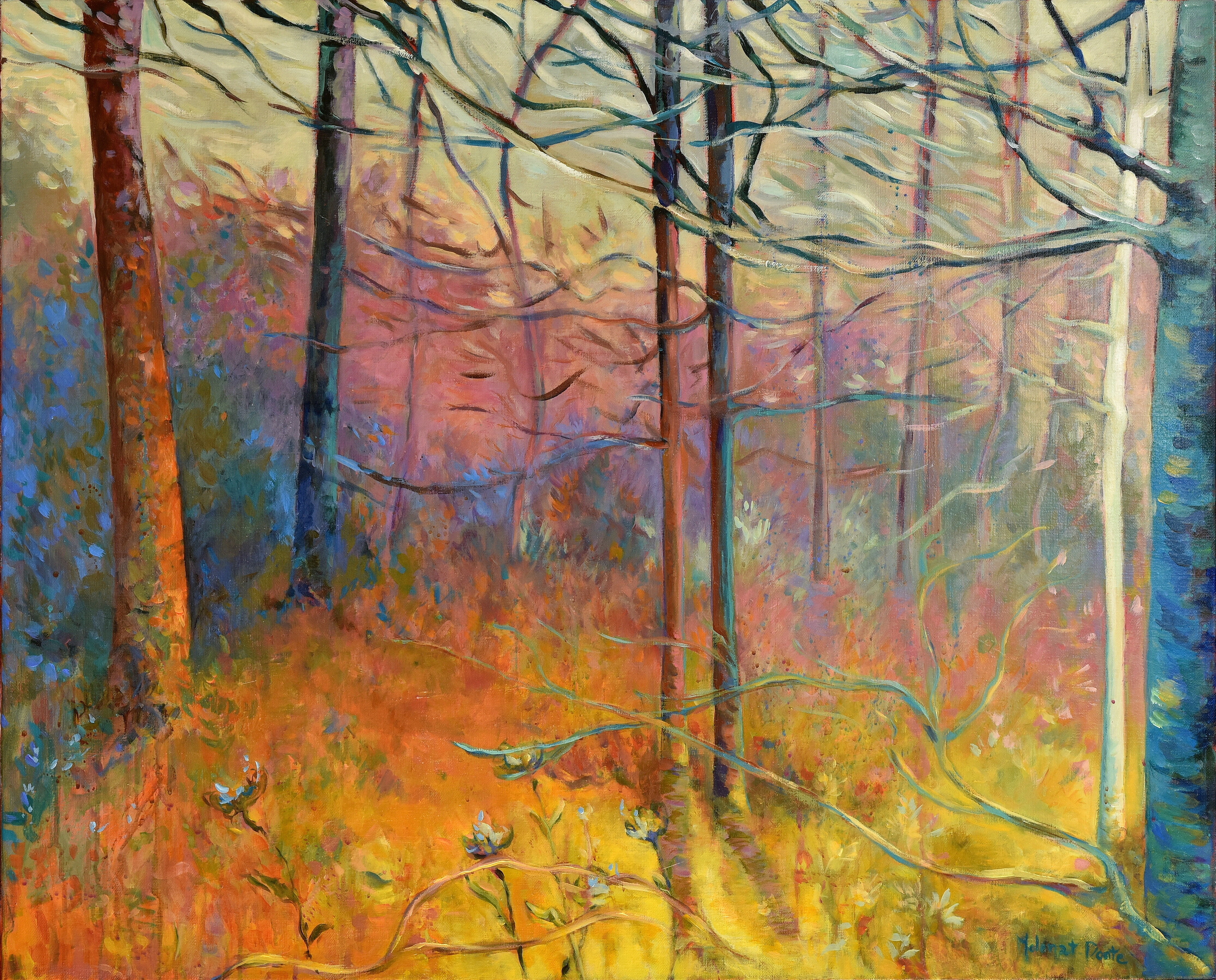 Forêts Intérieures 3