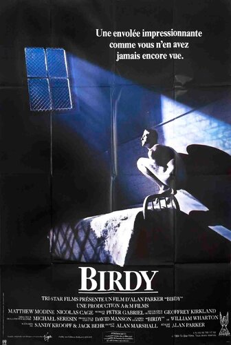 Birdy The Movie by Unknown Artist, 版画 for Sale on Singulart