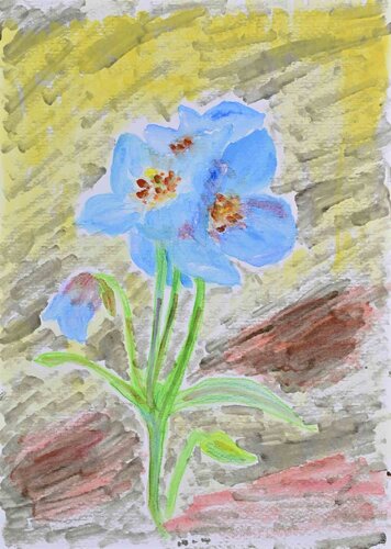The Blue Poppies di Unknown Artist, Opera su carta in vendita su Singulart