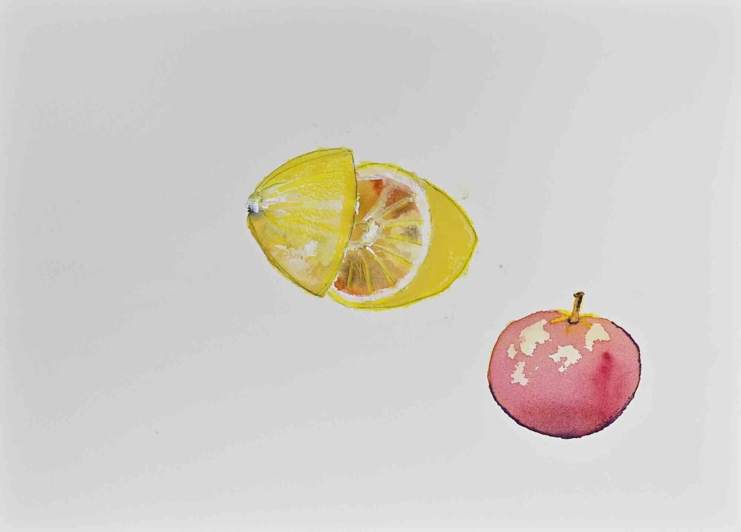 Still life with Lemon and Apple Unknown Artist