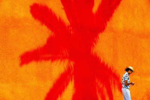 L'homme et le palmier van CHRISTIAN GOETGHEBEUR, Fotografie te koop op Singulart