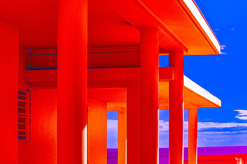 Orangerie sur mer, Basse-Terre par CHRISTIAN GOETGHEBEUR, Photographie en vente sur Singulart