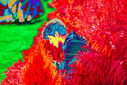 Parmi les plantes van CHRISTIAN GOETGHEBEUR, Fotografie te koop op Singulart