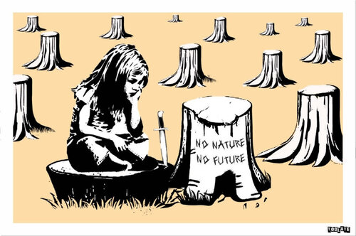 No Nature No Future di TOOLATE, Stampa in vendita su Singulart