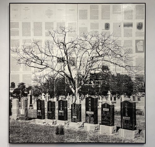 Oak Tree (Evergreen Cemetary) Mike Saijo