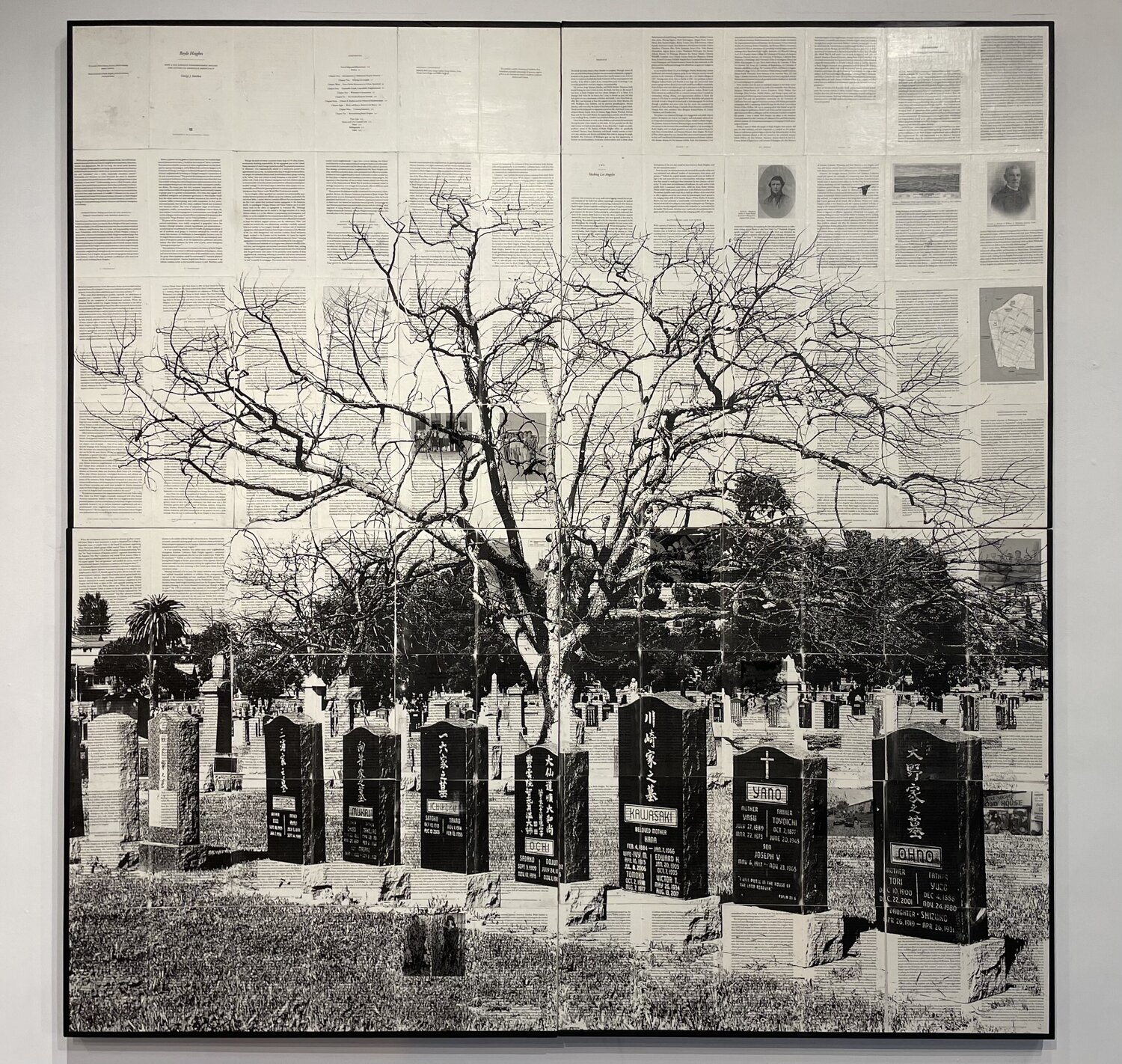 Oak Tree (Evergreen Cemetary) Mike Saijo Altri media in vendita