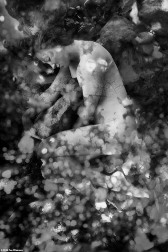 Lucy #88 von Zoe Wiseman, Fotografie kaufen auf Singulart