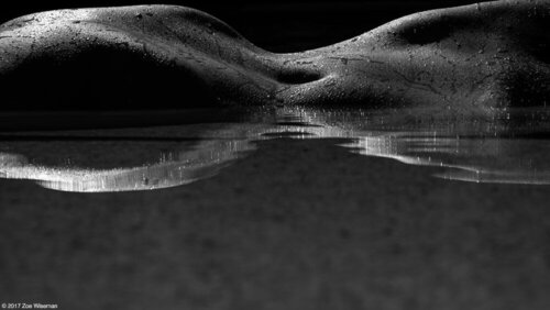 Brooke #91 di Zoe Wiseman, Fotografia in vendita su Singulart