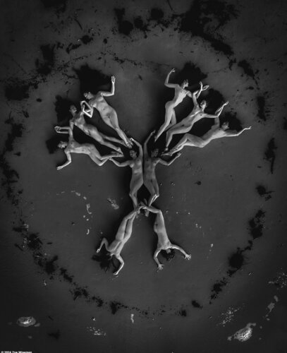 CRANN BETHADH von Zoe Wiseman, Fotografie kaufen auf Singulart