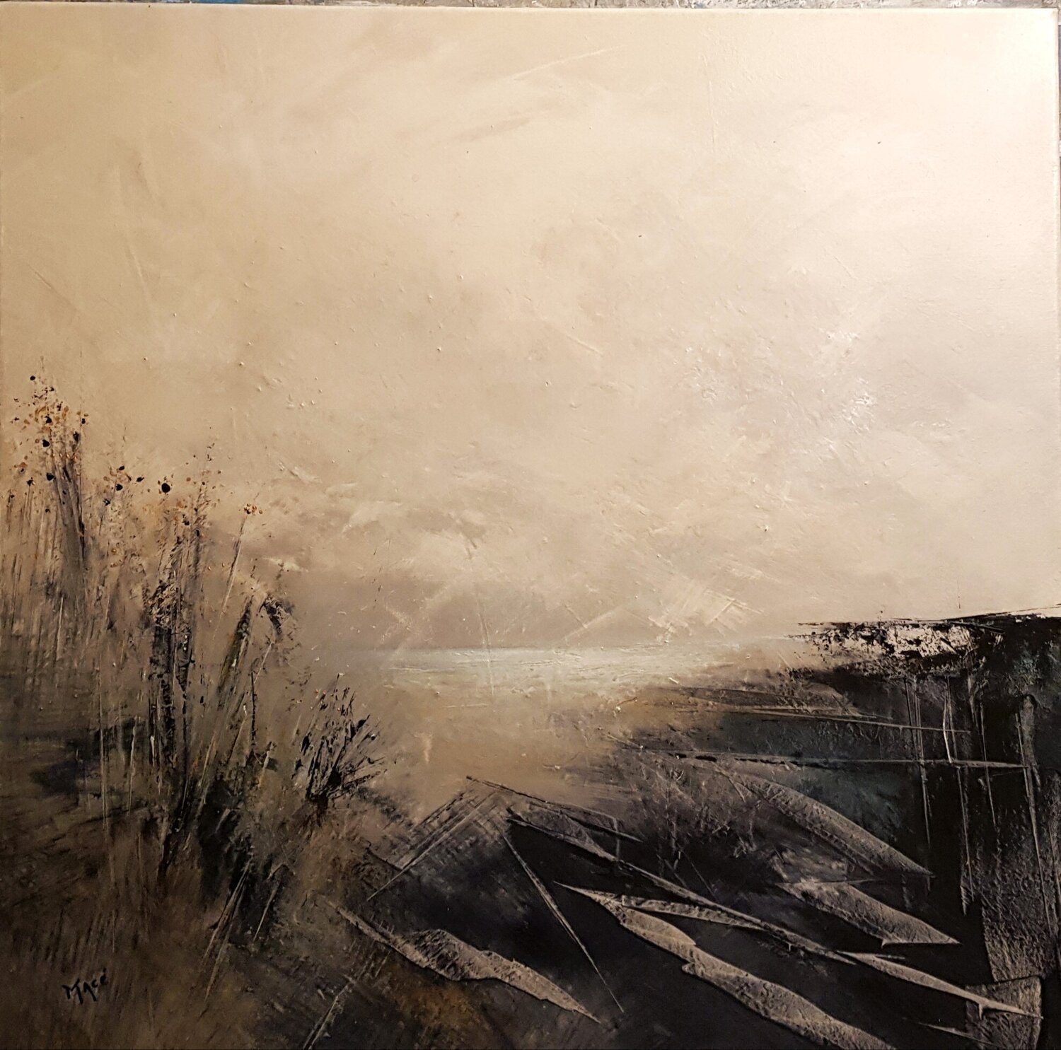 Opalescence Pascal Macé