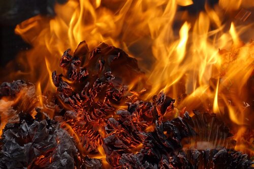 Portal VI von Flora Kao, Fotografie kaufen auf Singulart