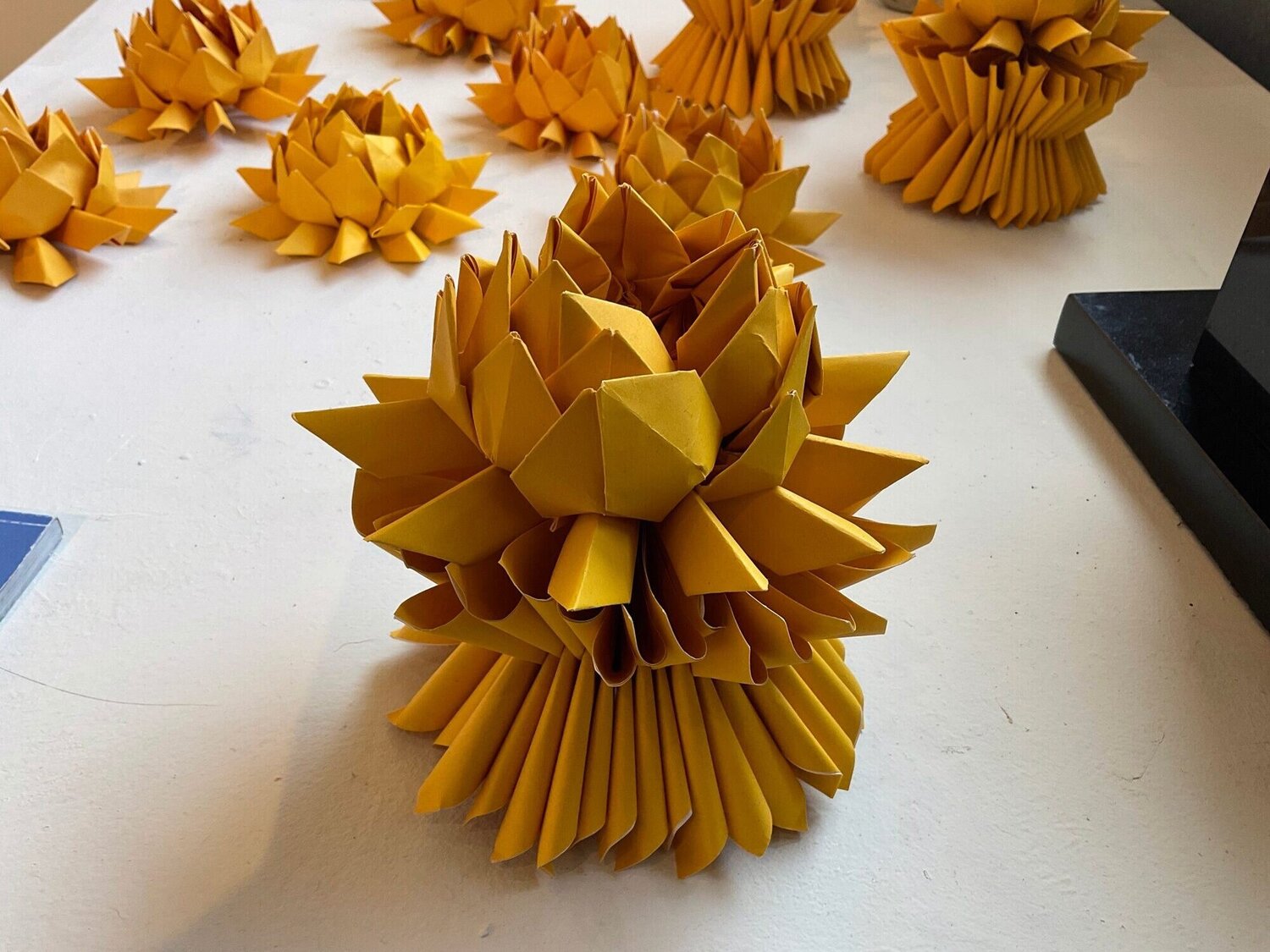 Lotus (medium) Flora Kao