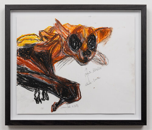 Mignon Chauve-Souris Mignonne par Simone Gad, Œuvre sur papier en vente sur Singulart