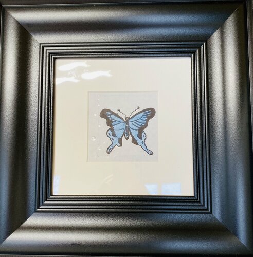 butterfly Vladislava Yakovenko