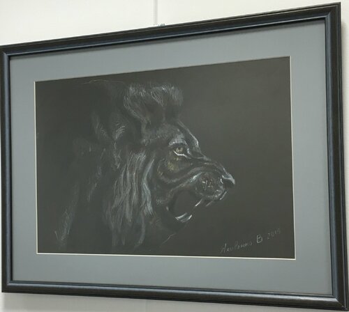 Lion Vladislava Yakovenko