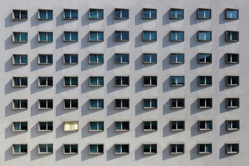 Early bird von Marcus Cederberg, Fotografie kaufen auf Singulart