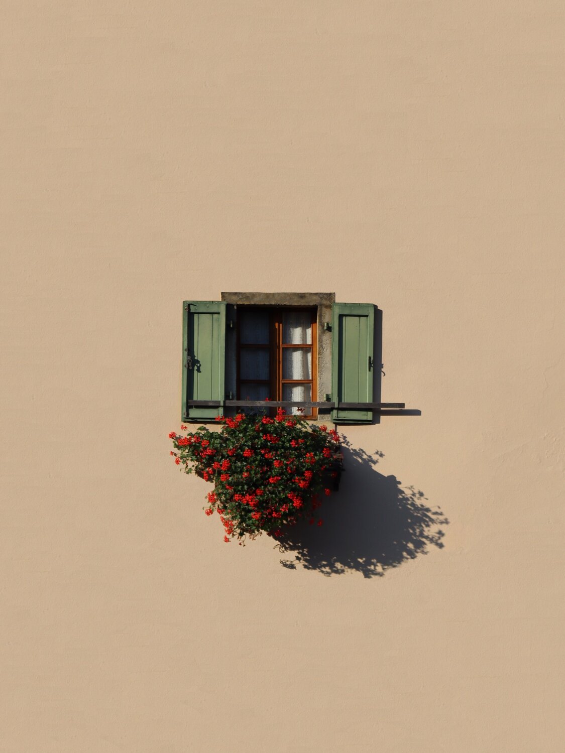 Home gardener Marcus Cederberg