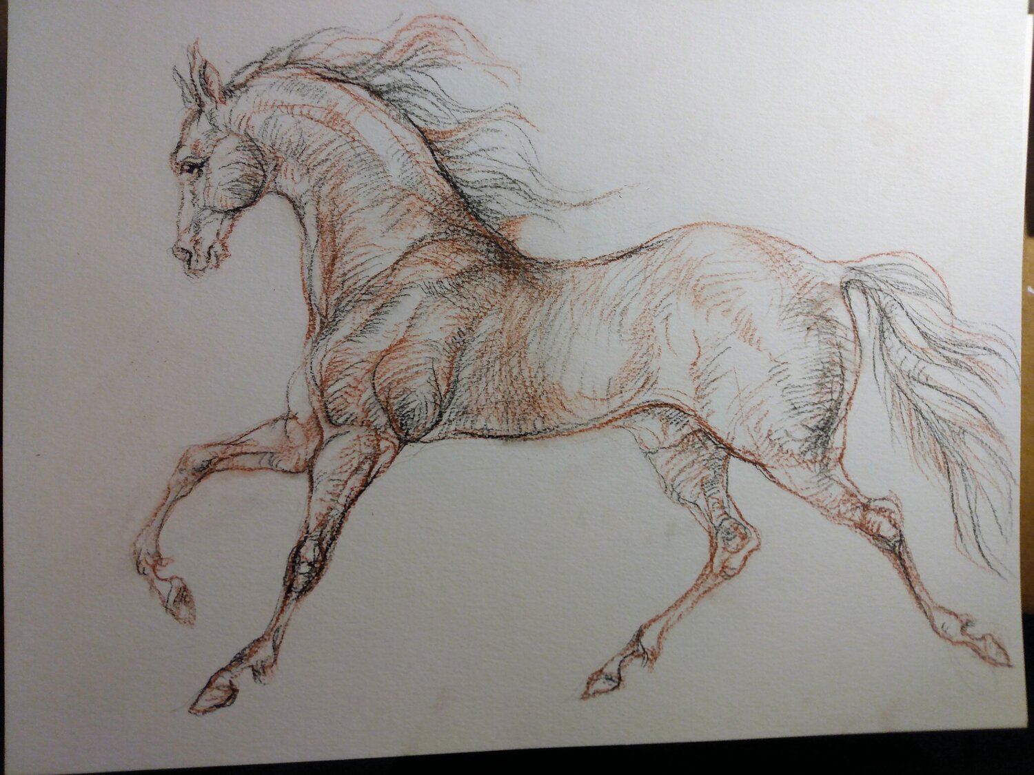 Horse drawing by Daniela Vasileva (2022) : Drawing Pencil, Charcoal on  Paper - Singulart, image size:1500x1125