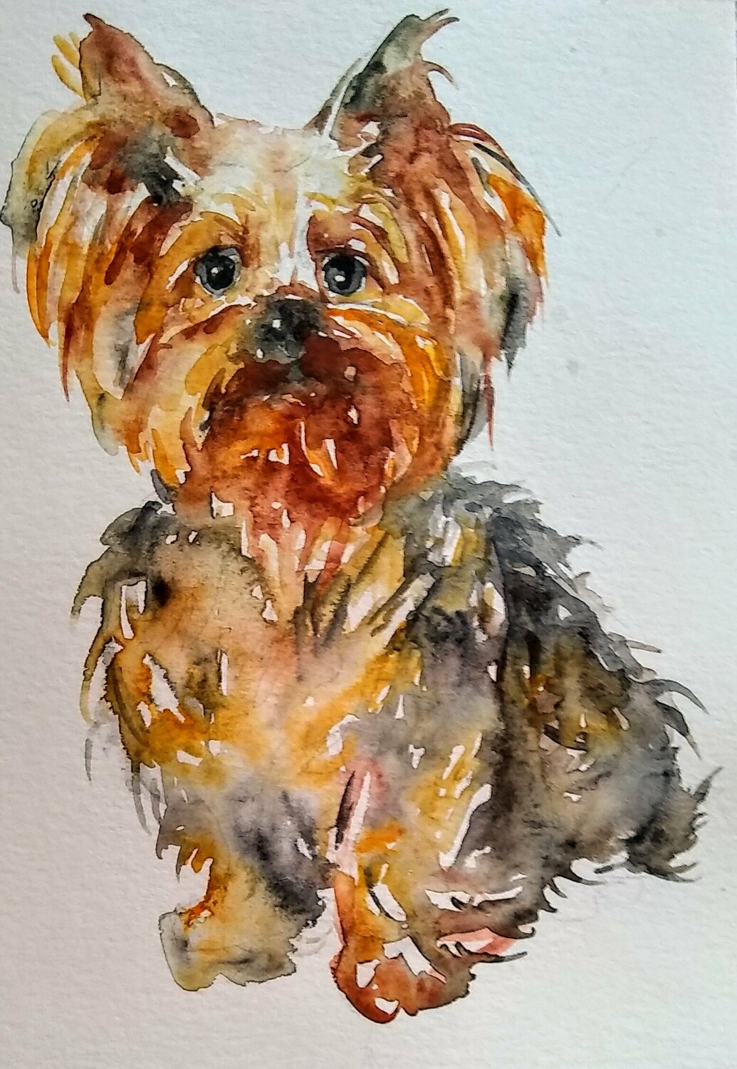 Yorkshire terrier puppy door Daniela Vasileva (2020) Werk op