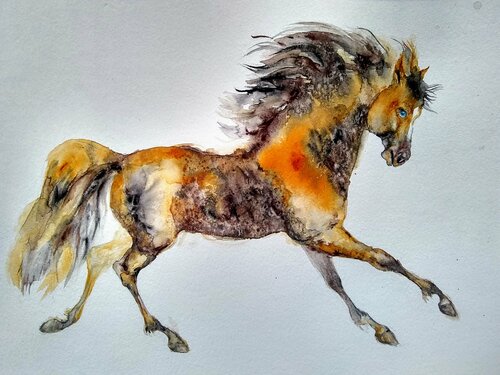 Horse in motion Daniela Vasileva