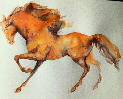 Horse in motion 8 Daniela Vasileva