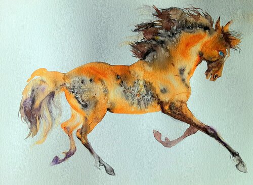Horse in motion 6 Daniela Vasileva