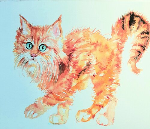 Orange kitty di Daniela Vasileva, Opera su carta in vendita su Singulart