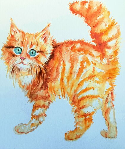 Orange kitty 5 par Daniela Vasileva, Œuvre sur papier en vente sur Singulart