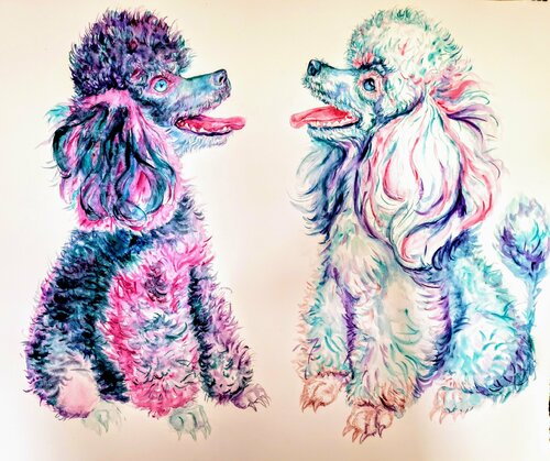 Pink gray purple poodles puppies von Daniela Vasileva, Werk auf Papier kaufen auf Singulart
