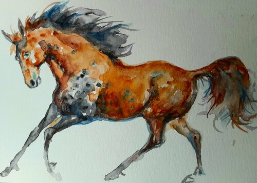 Horse running Daniela Vasileva