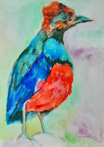 Colorful pitta bird par Daniela Vasileva, Œuvre sur papier en vente sur Singulart