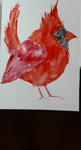 Colorful bird,red  Christmas Cardinal by Daniela Vasileva, Work on Paper for Sale on Singulart