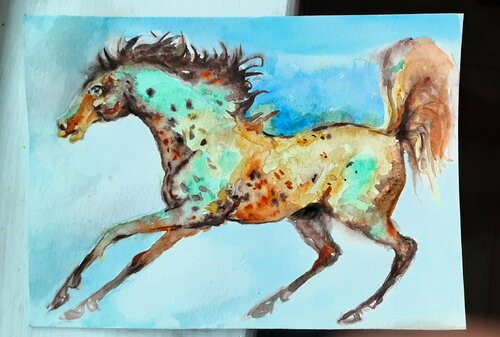 Appaloosa  Horse running by Daniela Vasileva, Work on Paper for Sale on Singulart
