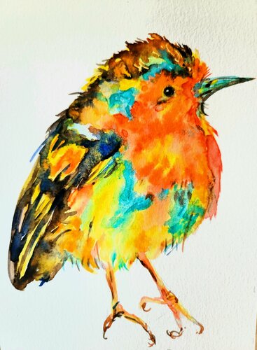 Colorful bird, Christmas Robin di Daniela Vasileva, Opera su carta in vendita su Singulart