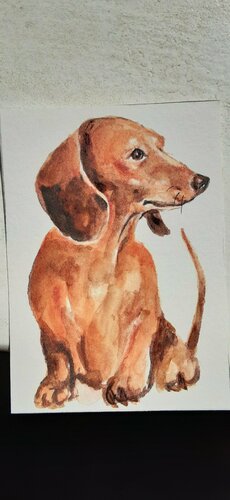 Dachshund dog painting by Daniela Vasileva, Work on Paper for Sale on Singulart