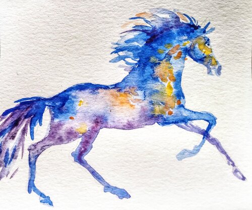 Blue appaloosa Horse running. par Daniela Vasileva, Œuvre sur papier en vente sur Singulart