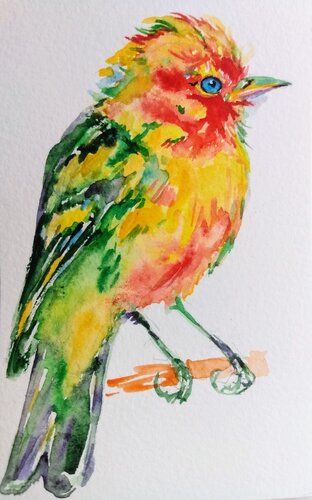 Bird di Daniela Vasileva, Opera su carta in vendita su Singulart