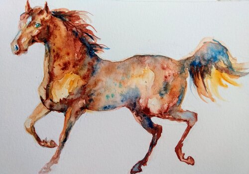 Colorful Horse running Daniela Vasileva