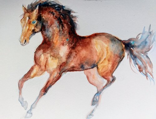 Horse running Daniela Vasileva