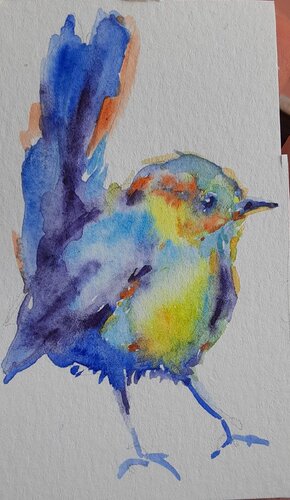 Colorful  blue yellow bird van Daniela Vasileva, Werk op papier te koop op Singulart