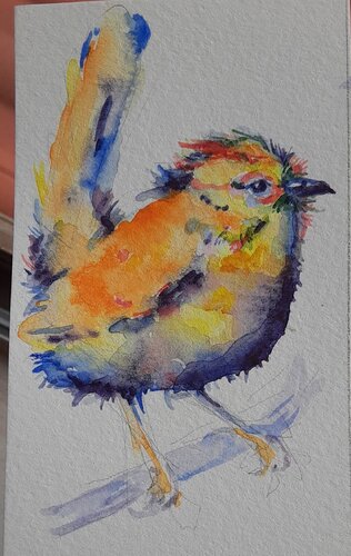 Colorful  blue , orange, purple bird van Daniela Vasileva, Werk op papier te koop op Singulart
