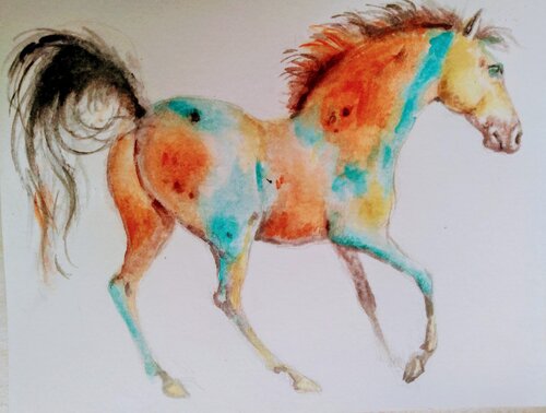 Appaloosa  Horse running di Daniela Vasileva, Opera su carta in vendita su Singulart