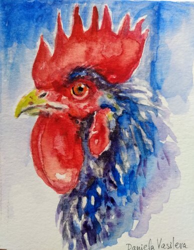 Rooster Chicken art par Daniela Vasileva, Œuvre sur papier en vente sur Singulart