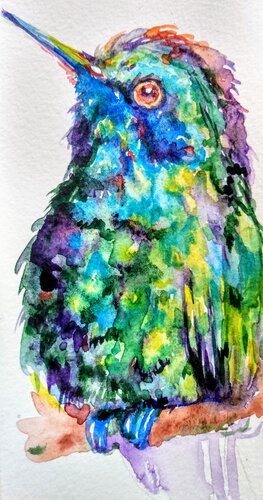 Colorful  hummingbird di Daniela Vasileva, Opera su carta in vendita su Singulart