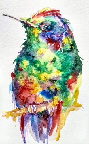 Colorful  hummingbird di Daniela Vasileva, Opera su carta in vendita su Singulart