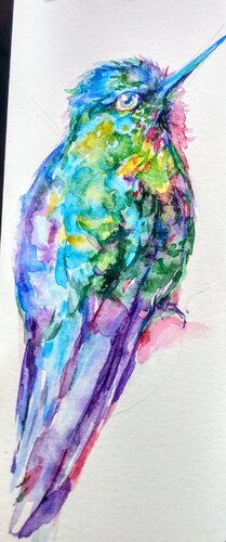 Colorful  hummingbird van Daniela Vasileva, Werk op papier te koop op Singulart