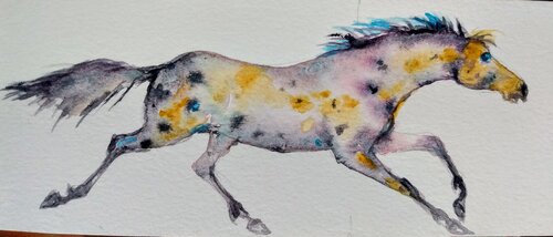 Horse running Daniela Vasileva