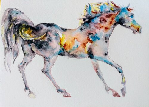 Appaloosa Horse running di Daniela Vasileva, Opera su carta in vendita su Singulart